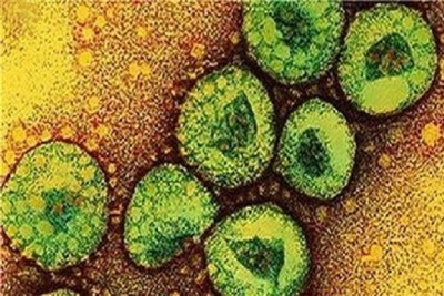 virus_MERS3